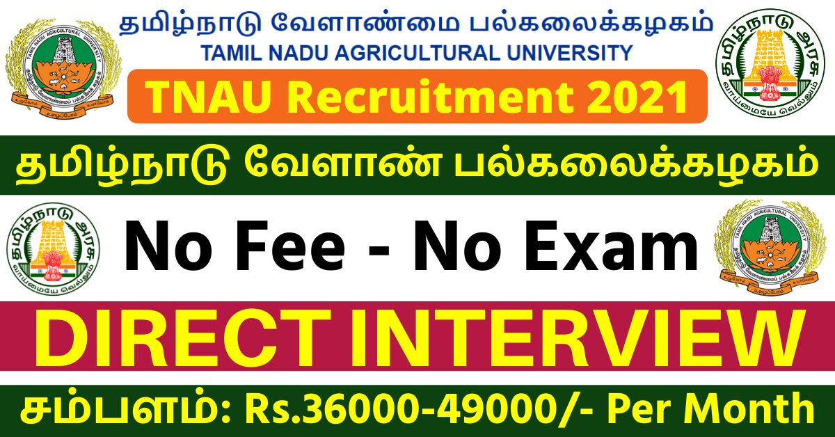 TNAU Recruitment 2024 Apply for Latest Job Vacancies tnau.ac.in
